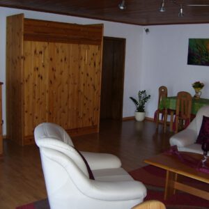 Wohnzimmer mit Schrankbett / Livingroom with Murphy bed
