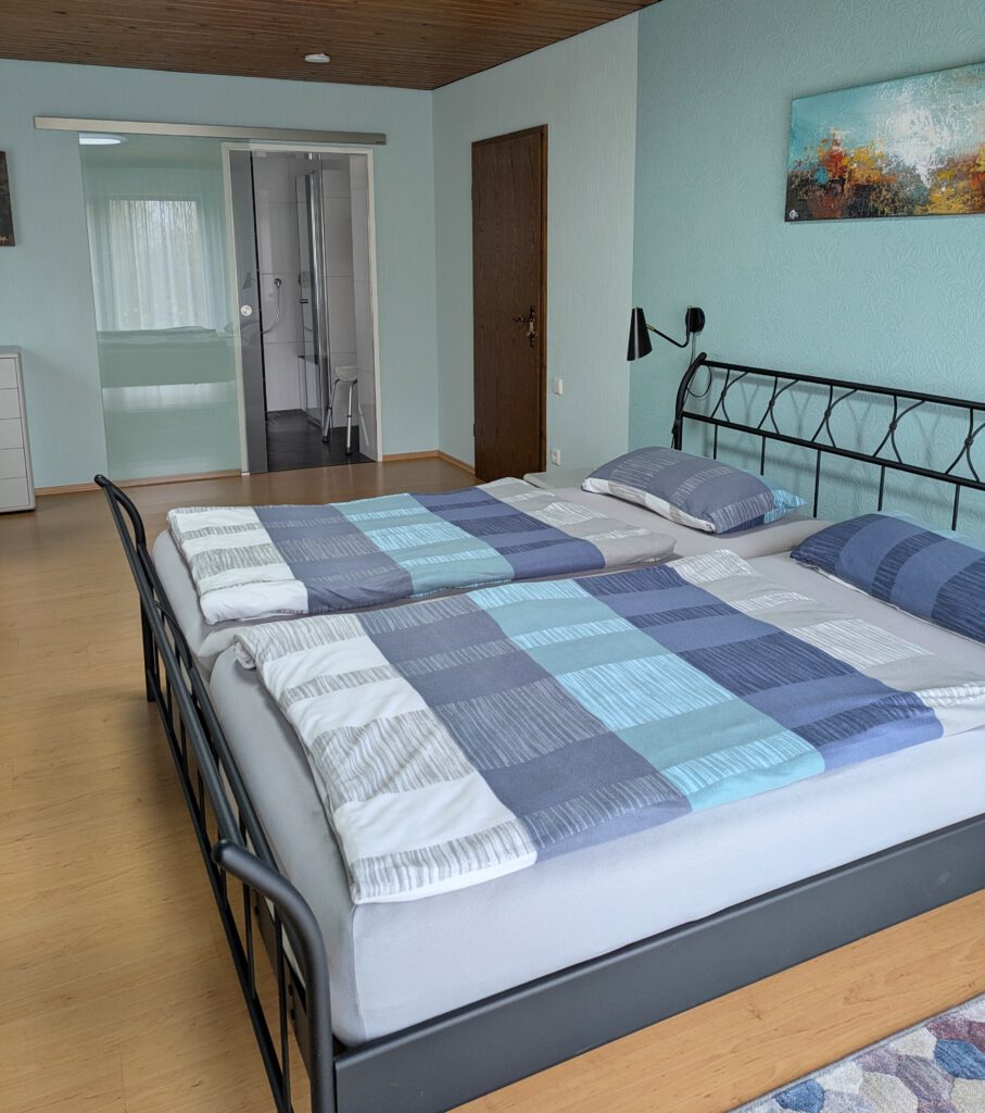 Schlafzimmer mit Zugang zum Bad / Bedroom with access to the bathroom